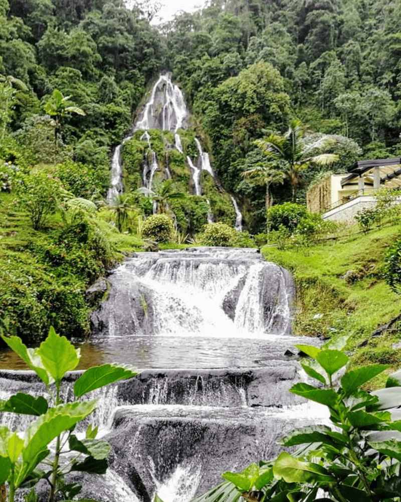 Termales del Eje Cafetero: Santa Rosa y San Vicente | Blog